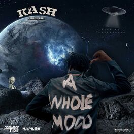 Album cover of A Whole Mood
