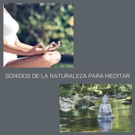 Album cover of Sonidos de la Naturaleza para Meditar: Música para Despejar la Mente