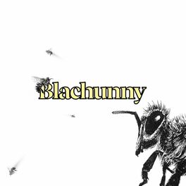 Album cover of Blachunny