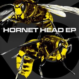Album cover of Hornet Head EP