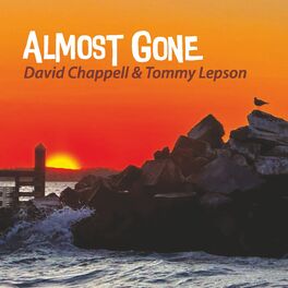 Album cover of Almost Gone