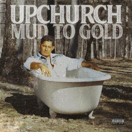Album cover of Mud to Gold