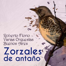 Album cover of Zorzales de Antaño - Roberto Florio - Varias Orquestas - Buenos Aires