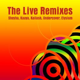 Album cover of The Live Remixes