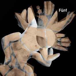 Album cover of Fünf