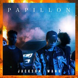 Album cover of Papillon