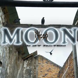 Album cover of Moon (feat. Nicco)