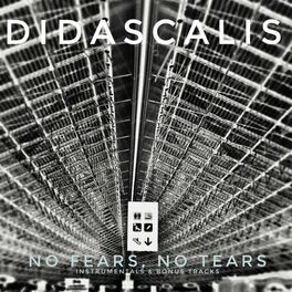 Album cover of No Fears, No Tears (Instrumentals & Bonus Tracks)