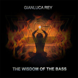 Album cover of The Wisdom Of The Bass