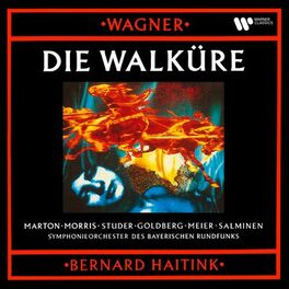 Album cover of Wagner: Die Walküre