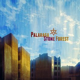 Album cover of Stone Forest
