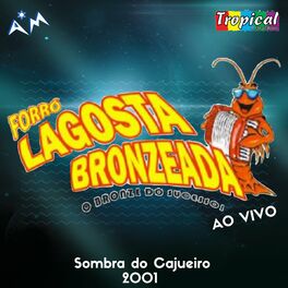 Album cover of O Bronze do Sucesso - Sombra do Cajueiro - 2001 (Ao Vivo)