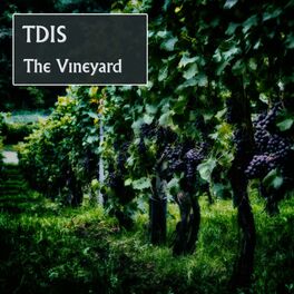 Album cover of The Vineyard