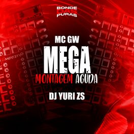 Album cover of Mega Montagem Aguda