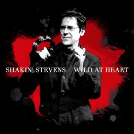 Album cover of Wild At Heart (Neros Single Version)