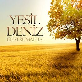 Album cover of Yeşil Deniz (Enstrümantal Duygusal)