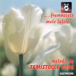 Album cover of Frumoasele Mele Lalele, Melodii De Temistocle Popa