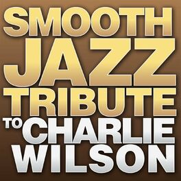 Album cover of Smooth Jazz Tribute to Charlie Wilson