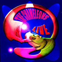 Album cover of Live at The Academy Vol. 2