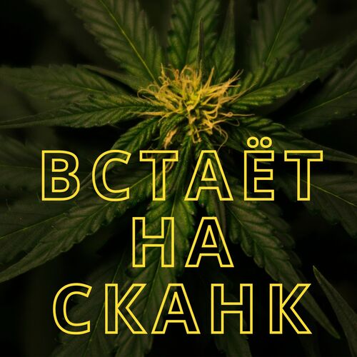 Полумягкие конопля штаны с коноплей