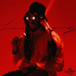 Album cover of Luxury