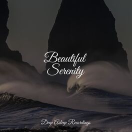 Album cover of Beautiful Serenity
