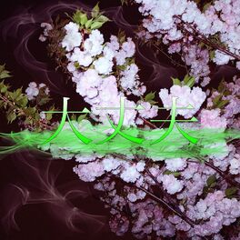 Album cover of Fine