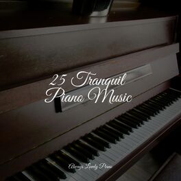 Album cover of 25 Tranquil Piano Music