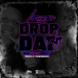 Album cover of Drop Dat