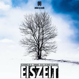 Album cover of Eiszeit
