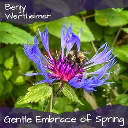 Album cover of Gentle Embrace of Spring