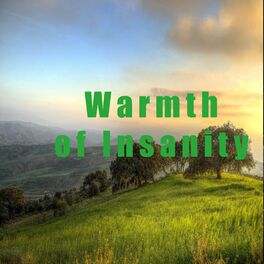 Album cover of Warmth of Insanity