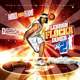 Album cover of LeBron Flocka James 2