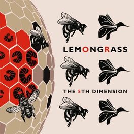 Album cover of The 5th Dimension