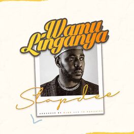 Album cover of Wamu Linganya