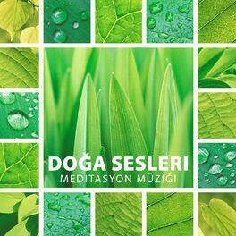 Album cover of Doğa Sesleri Meditasyon Müziği: Sakinleştirici Su ve Şarkı Söyleyen Kuşlar, Okyanus dalgaları, Sakinleştirici Yağmur, Sahil, Şelal