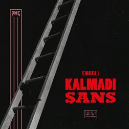 Album cover of Kalmadı Şans