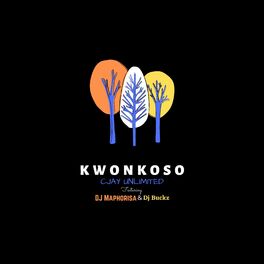 Album cover of Kwonkoso
