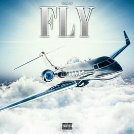 Album cover of F.L.Y (Radio Mix)