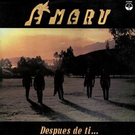 Album cover of Después de Ti... (Música Andina Boliviana)