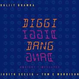 Album cover of Diggi Diggi Dang Dang (Ambient Timescapes)