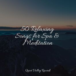 Album cover of 50 Relaxing Songs for Spa & Meditation