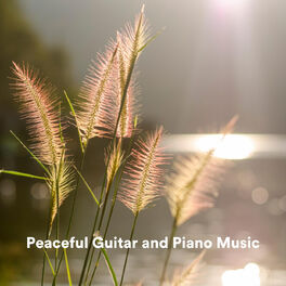 Album cover of Peaceful Guitar and Piano Music