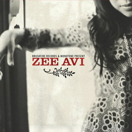 Album cover of Zee Avi