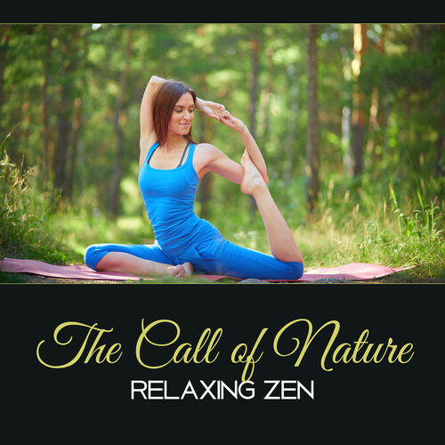 Natural Treatment Zone - The Call of Relaxing Zen – Yoga from Practice in Buddhist Space, Powerful Energy: şarkı sözleri ve şarkılar | Deezer
