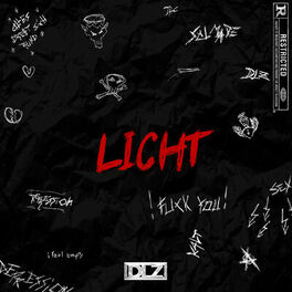 Album cover of Licht