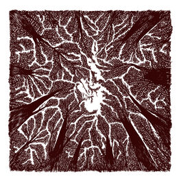 Album cover of Shade