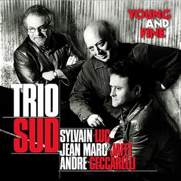 Album cover of Young and Fine (feat. Sylvain Luc, Jean-Marc Jafet & André Ceccarelli)