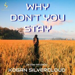Album cover of Why Don't You Stay (Radio Edit)