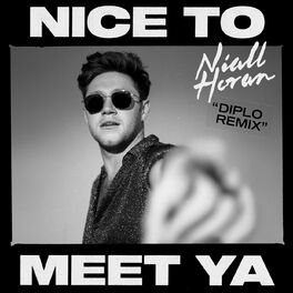 Album cover of Nice To Meet Ya (Diplo Remix)